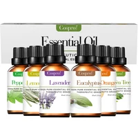 

Wholesale High Quality Private Label Organic Natural Diffuser Aromatherapy Aroma Essential Oil Gift Set With 6 Fragrance