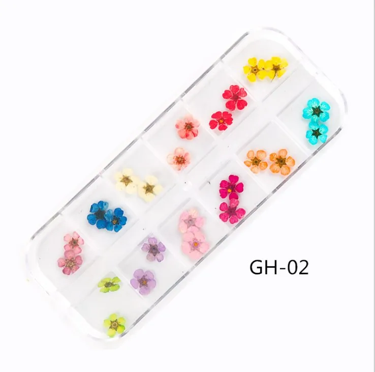 

Dried Flowers Nail Art Decorations Natural Real Dry Leaves 3D Gel Acrylique False Tips Colorful Nail Art DIY