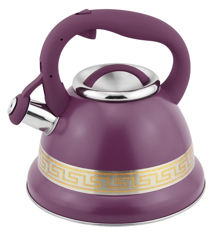 

stocked stainless steel induction kettle whistle kettle whistling tea pot other hotel, Blue black red pink purple green