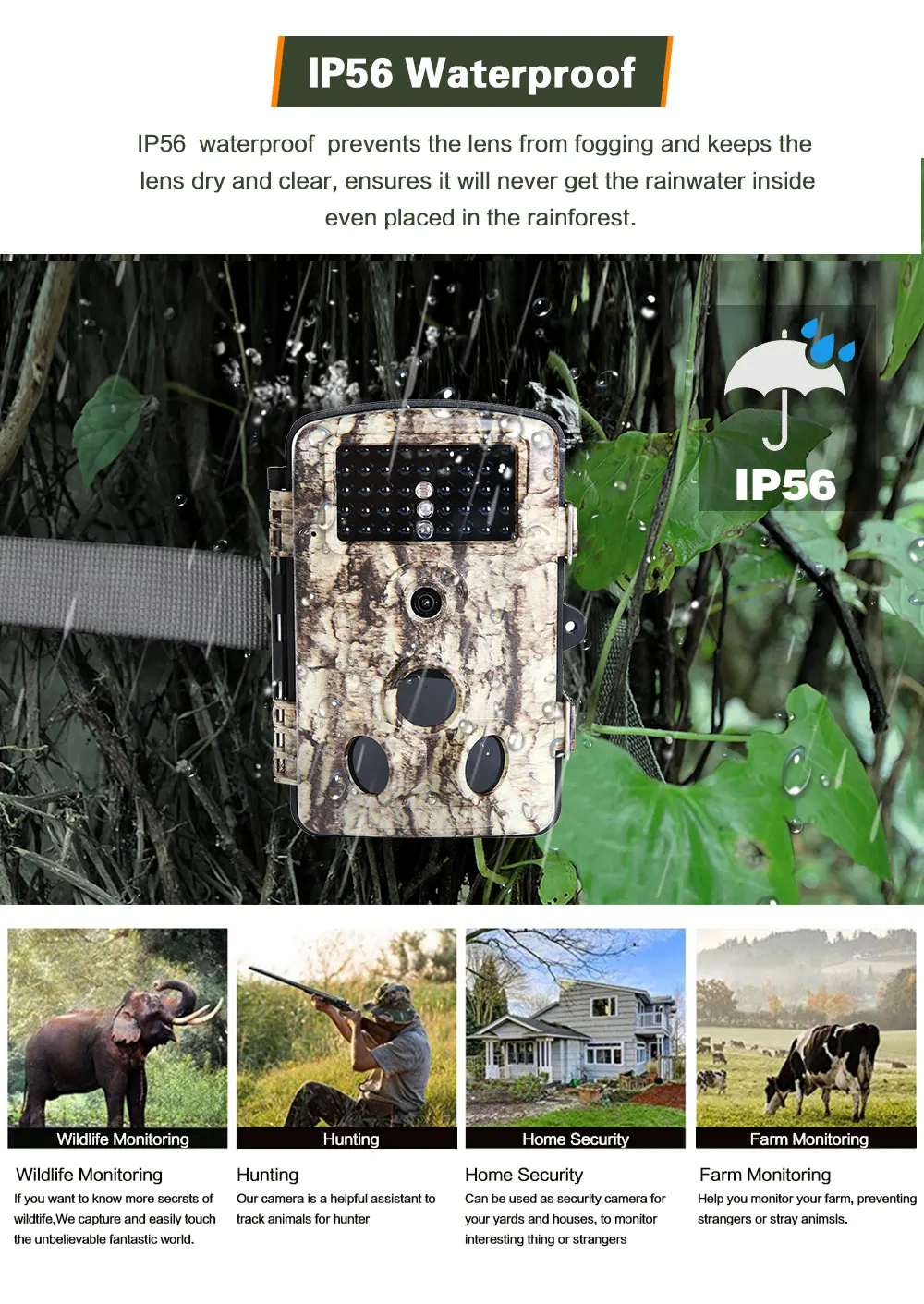 730 hunting trail cam_10.jpg