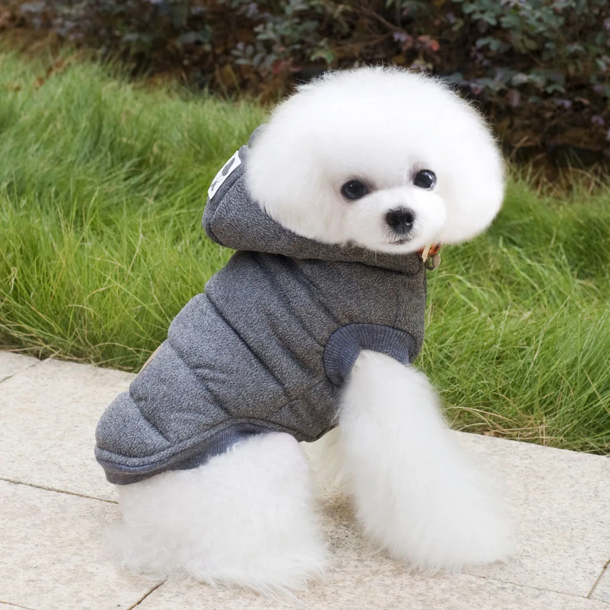 Зимняя одежда собак