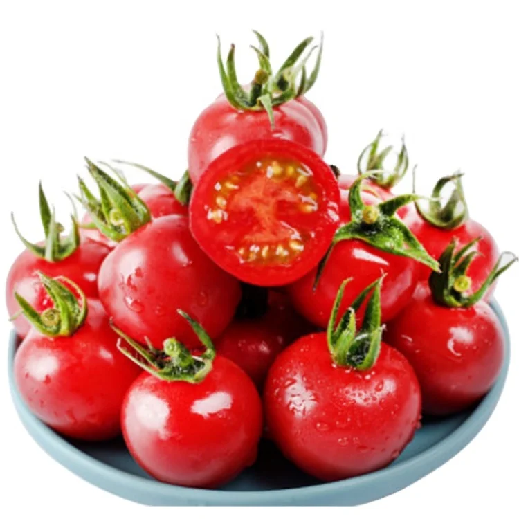 vitamin c cherry tomatoes plants live for planting organic fresh