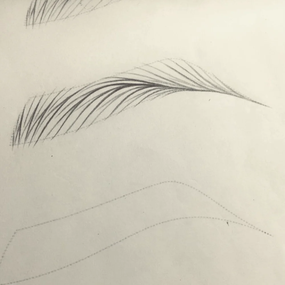 Wenshen YDPMU Flexible Tattoo Practice Skin for Eyebrow Artists OEM ODM Options Available