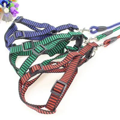 

XXF-42 Wholesale high quality fashionable Round rope pet leashes nylon dog leashes, Picture