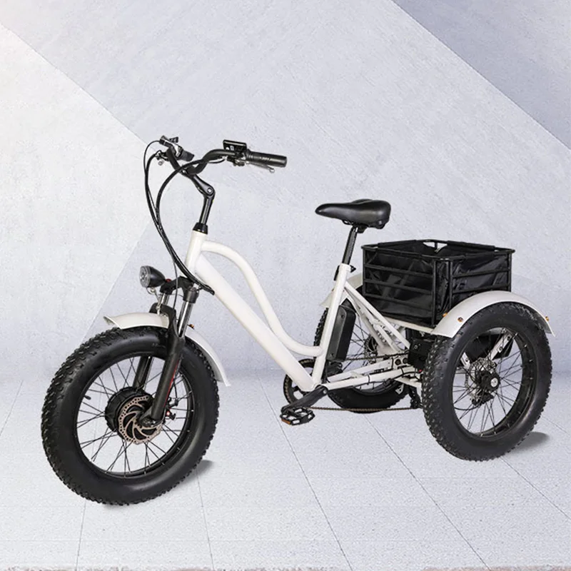 

24 inch NEW motorized electric tricycle with EN15194/ cheap electric trike/ 3 wheel electric bike with pedals