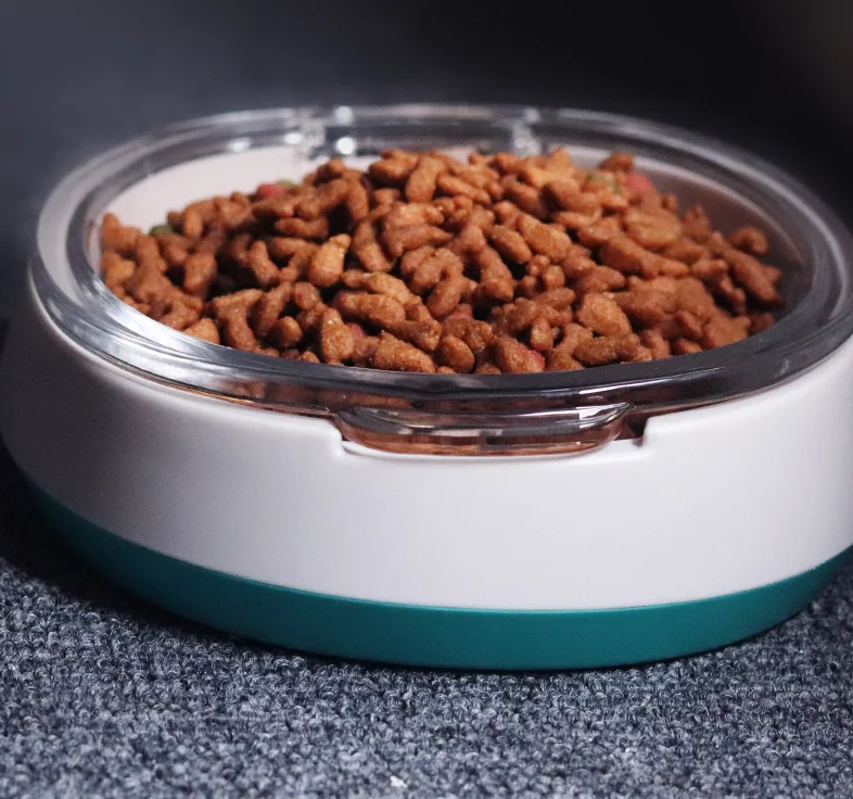 

High Quality OEM Glass Cat Food Water bowl Dog Water Bottle Feeder Bowl Portable Feeding Pets Bowl, Grey,ponk,green