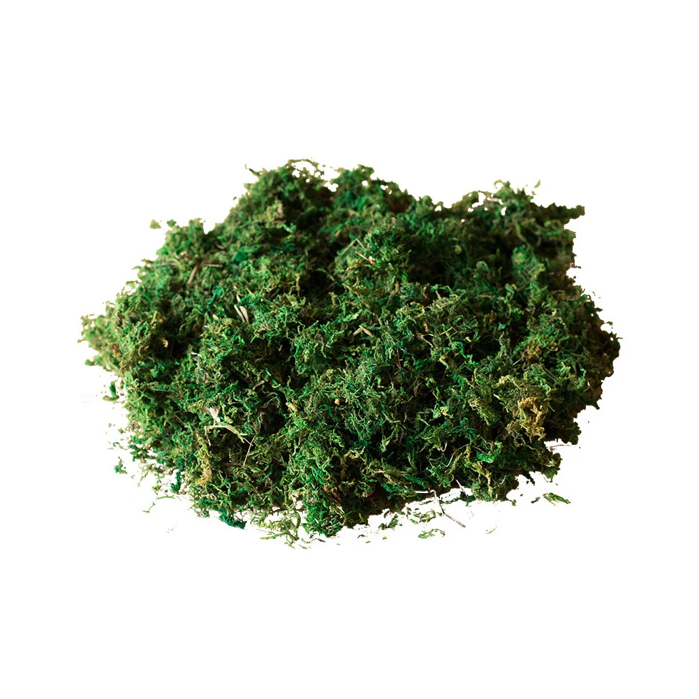 

Artificial Moss Green Dried Moss Decorative 600g/400g Fake Moss For Gardening Crafts Home Decorations Wedding Decorations