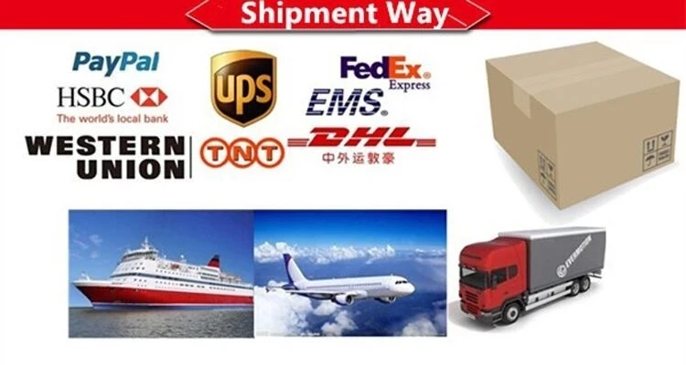 shipmenyt.jpg