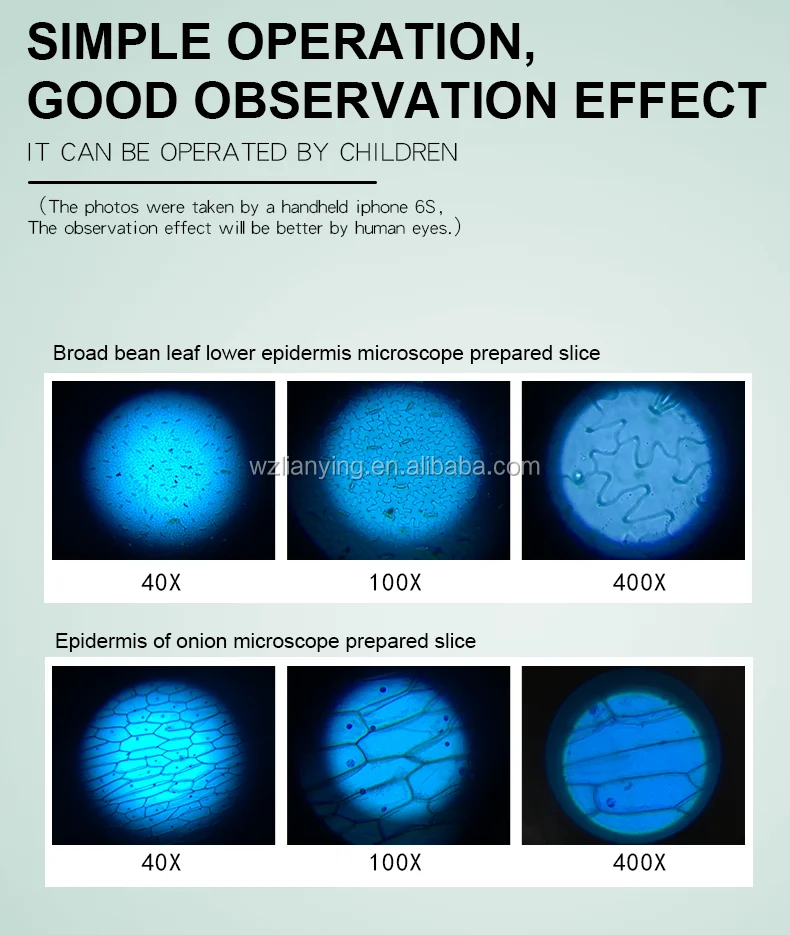 Motic Dissecting Laboratory Microscope For Student Buy Iphone