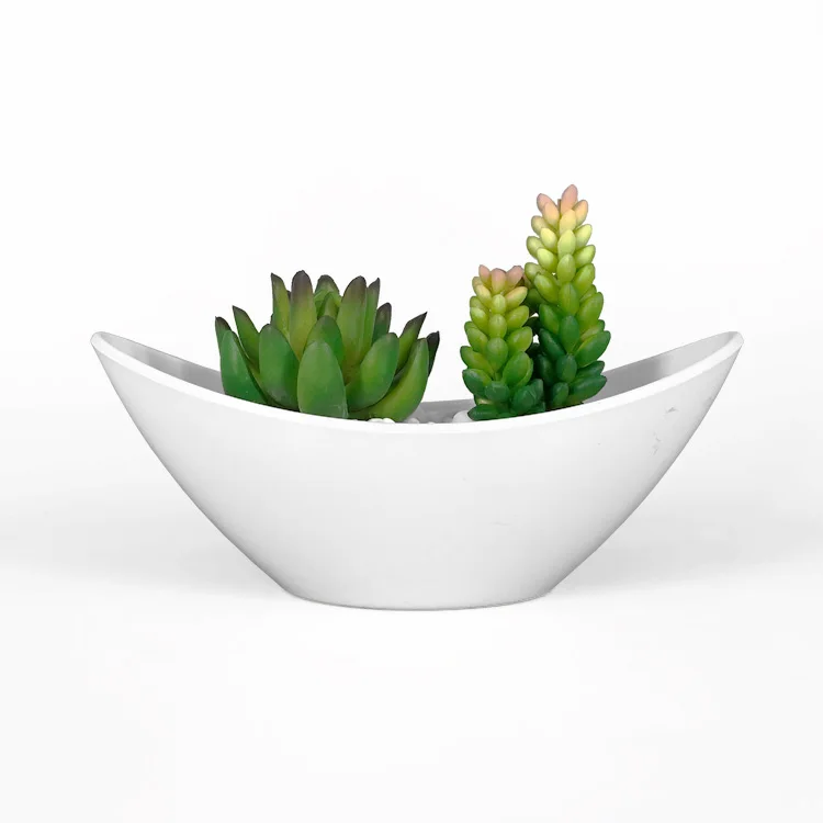 

Special modern decorative plant pot for interior decorating