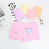 

Wholesale 4-12 Years Lovely Printing Organic Cotton Kids Underwear Children's Underwear