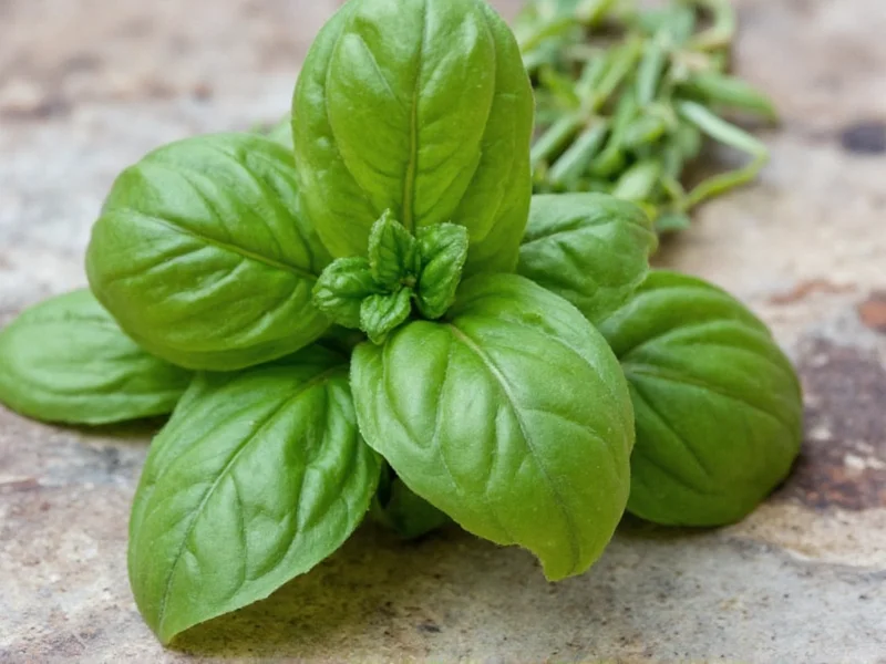 dried basil to fresh conversion