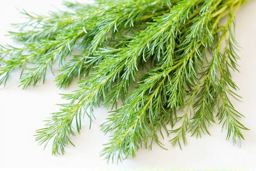 Dill Sprigs