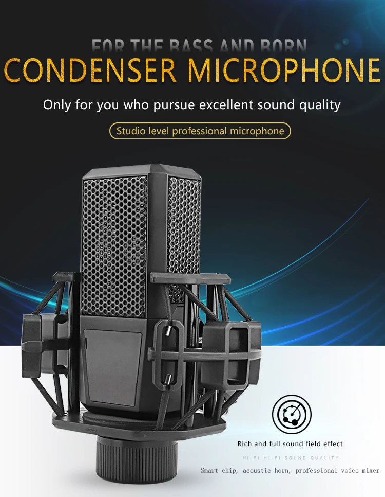 Professional 260 Metal Voice Recording Xrl Studio Recording Condenser