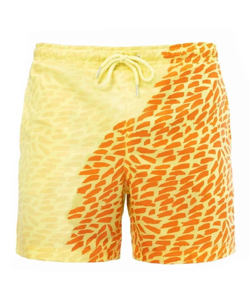 

Dropshipping logo customized color changing swim beach short discoloration in winter for men