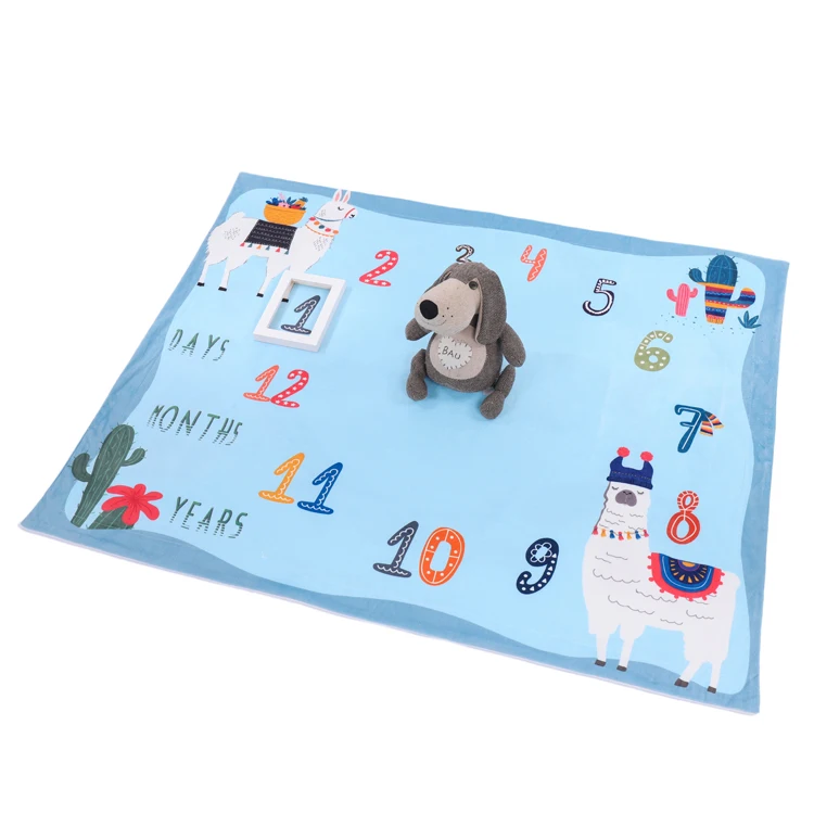 
2019 Amazon Hot Sale New Design Double Sided Different Pattern 2-Ply Babies Milestone Super Soft Fleece Baby Blanket 