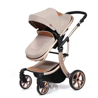 

Position Adjustable Compact Golden Baby Stroller 3 In 1 With Car Seat