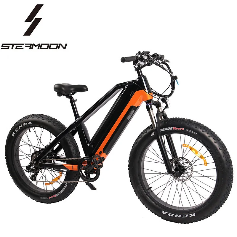 

dual drive fat tires specialized tandem road bike 750w 1000w, Optional