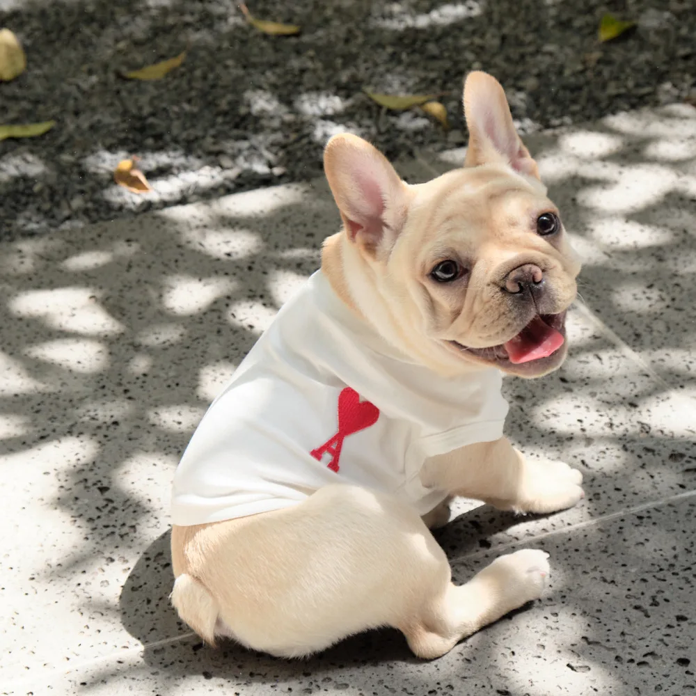 

Popular pet cat and dog clothes summer French bulldog T-shirt, As shown in details