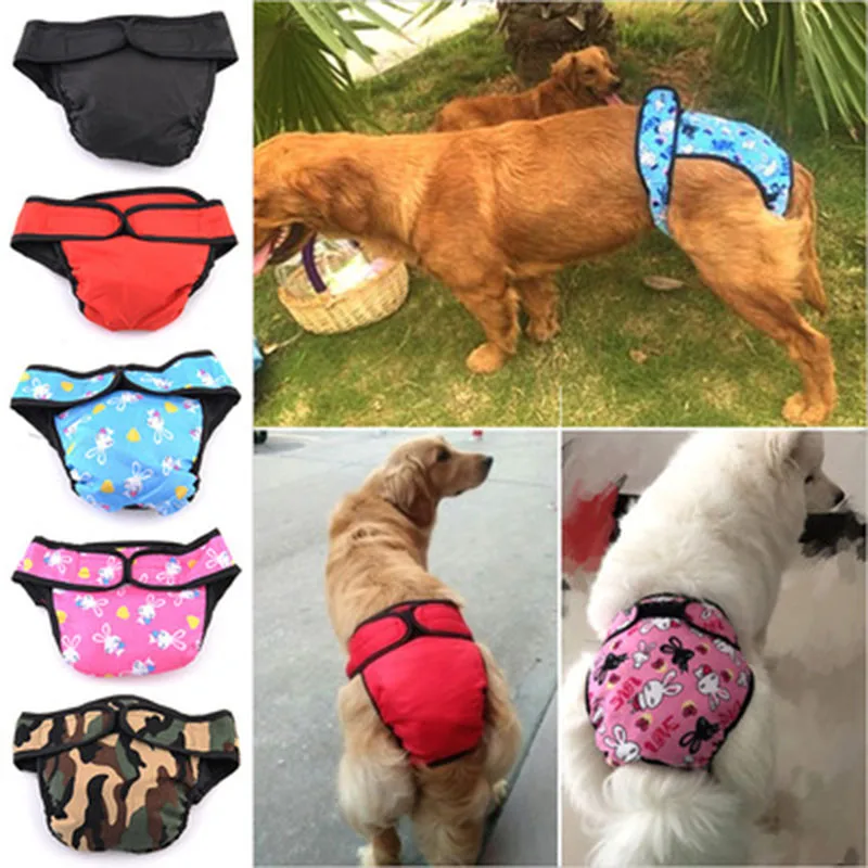 washable dog diapers