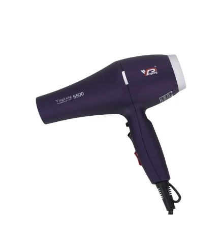 

2019 YingLang Light weight hair dryer model 5500 220v ready to ship