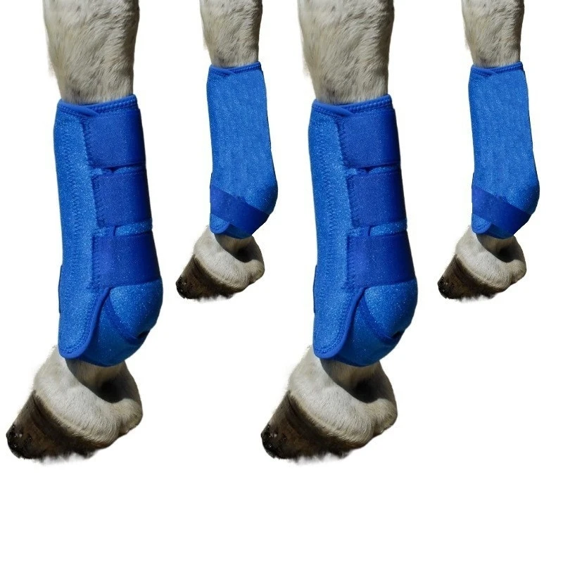 Horse Sport Boots Set  Leg Protective Support Gear  Front Hind Legs Guard Leggings Equestrian