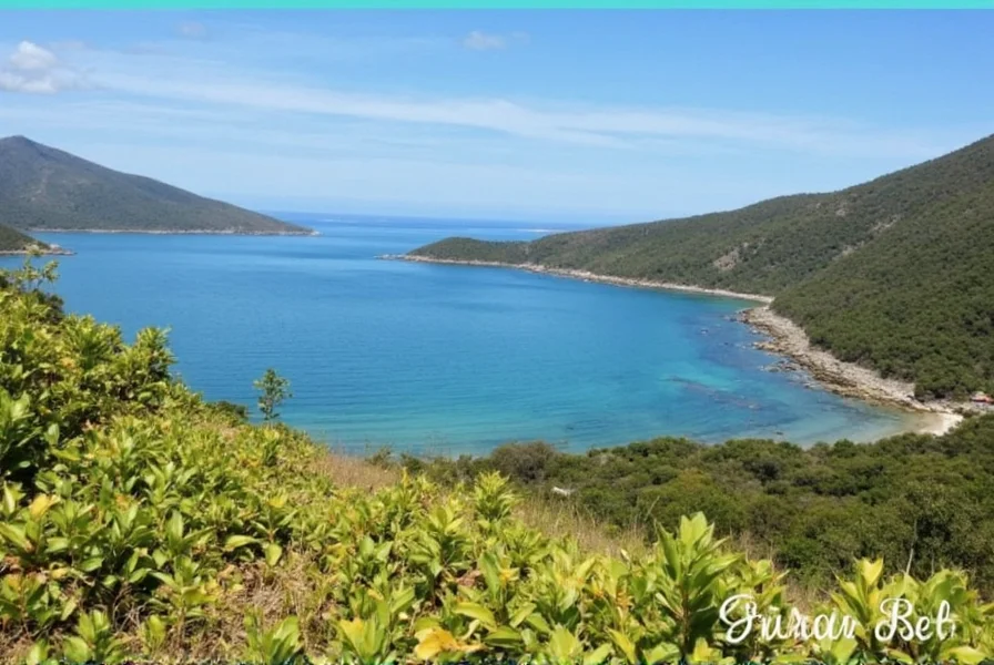 ginger bay