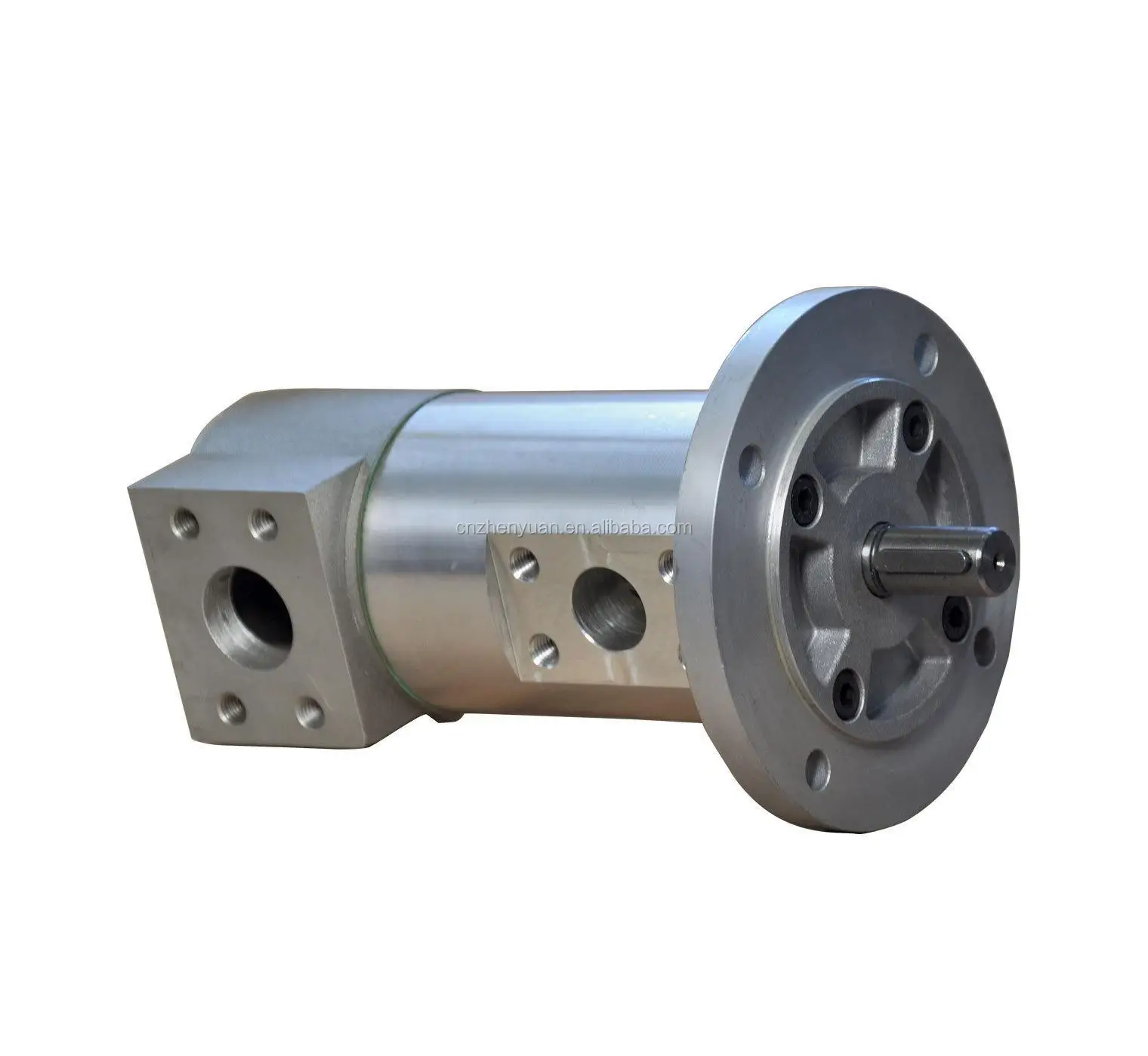 Settima Screw Pump Gr20 Gr25 Gr32 Gr40 Gr45 Gr55 Gr60 Gr70 Gr80 Gr90