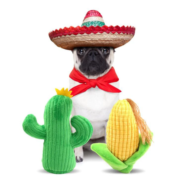 

Hot Sale Corn Cactus Bite Resistant Squeaky Pet Dog Plush Toy, Picture