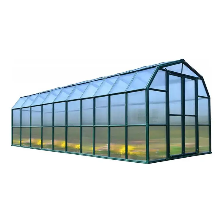 

One one Economical Galvanized Steel Frame Garden Portable Commercial Mini Glass Greenhouse