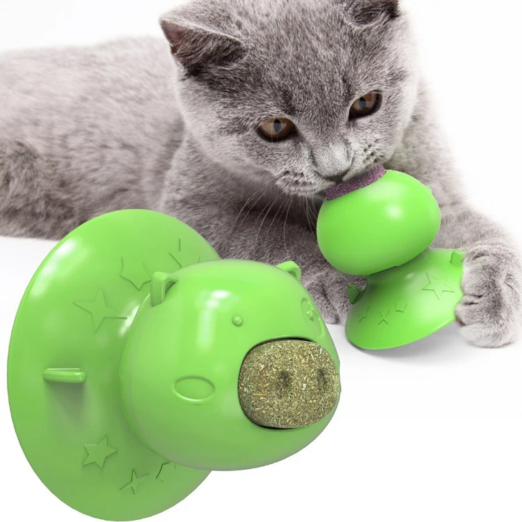 

2020 hot selling lovely pet supplies cat toothbrush grinding rubber hammer customized logo interactive toy