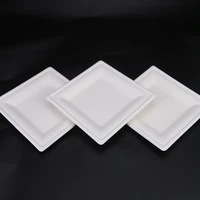 

Eco-friendly Compostable Biodegradable Sugarcane Dinnerware Bagasse Paper Pulp square Plate