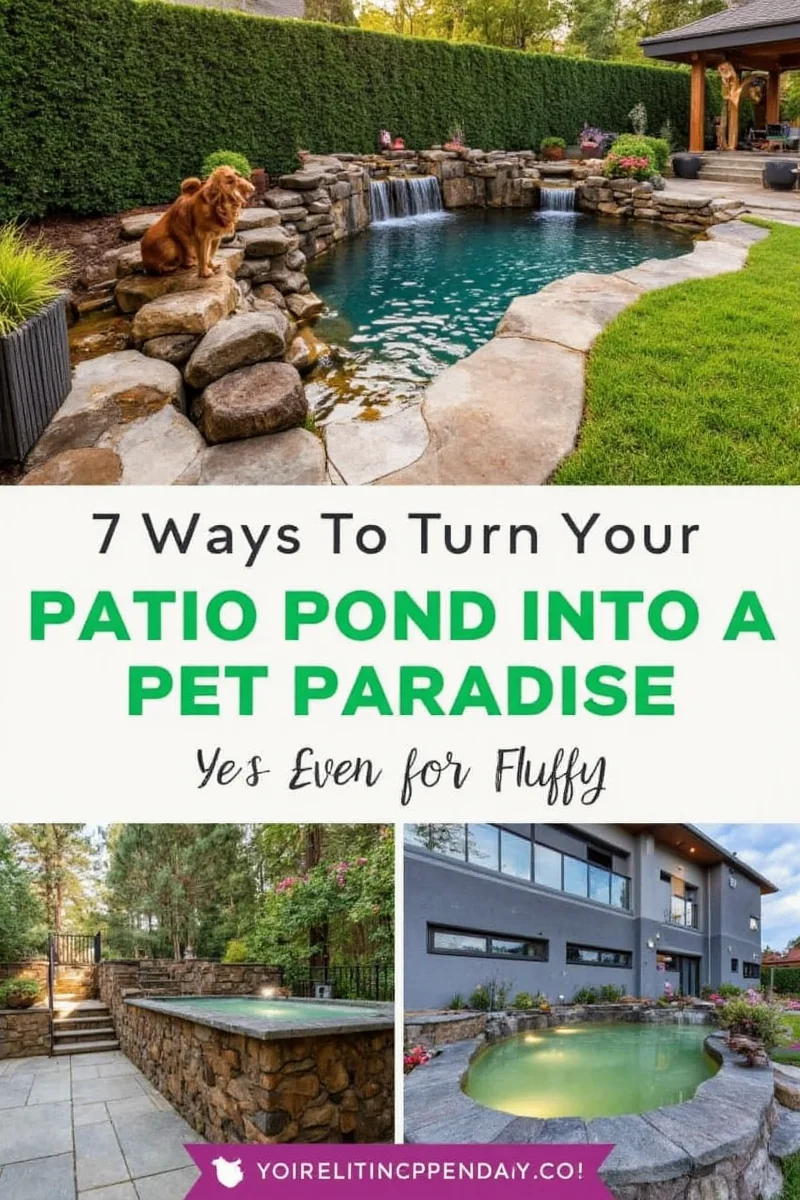 A pet-safe patio pond with a decorative metal grid covering the edges.