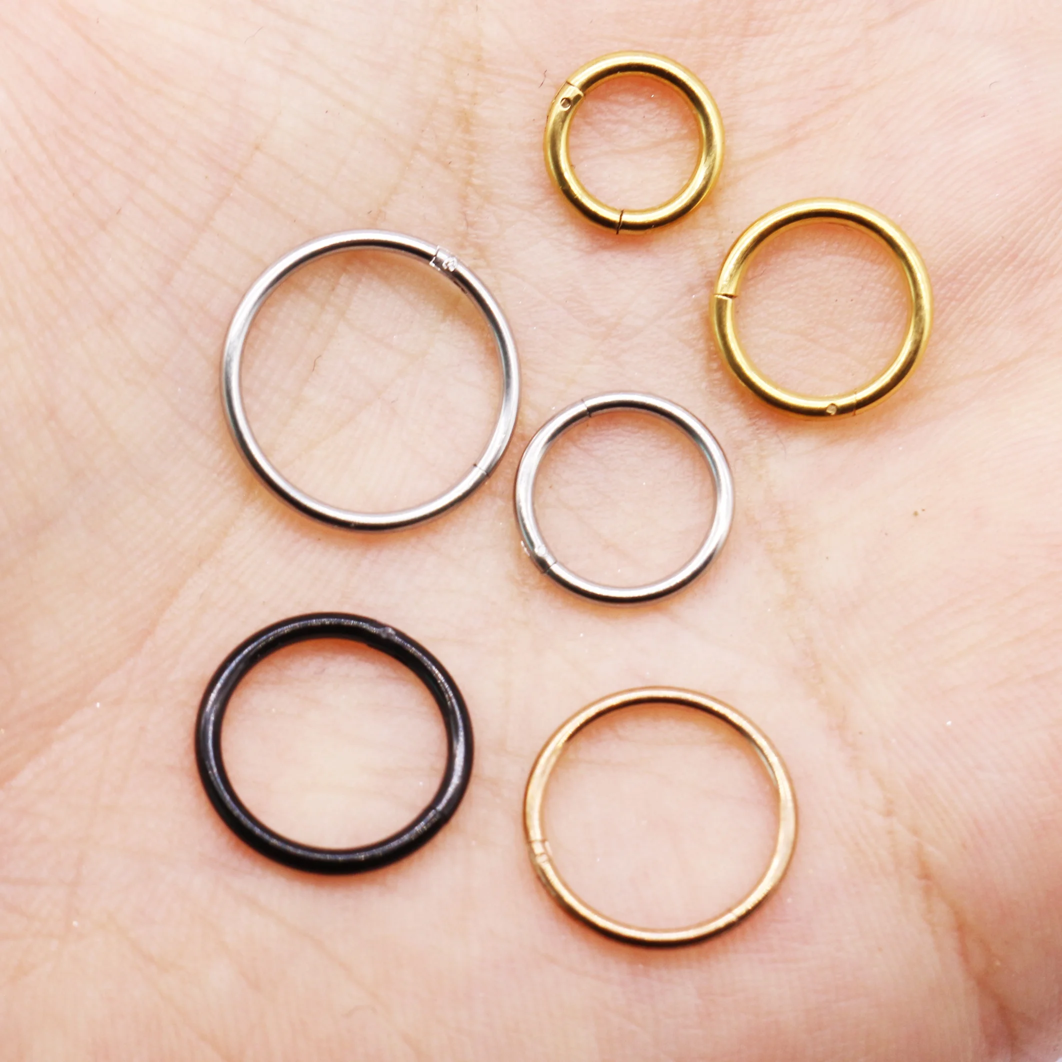 

Gaby 316L Stainless Steel segment nose Septum hinge ring nose hoop nose ring piercing, Steel,black,gold,rose gold,rainbow