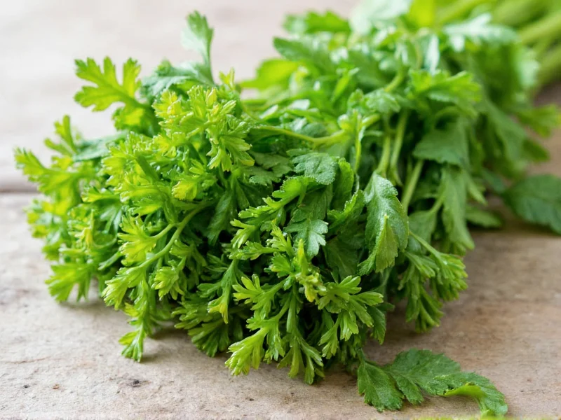 Fresh Herb to Dry Conversion: Exact Ratios & Tips