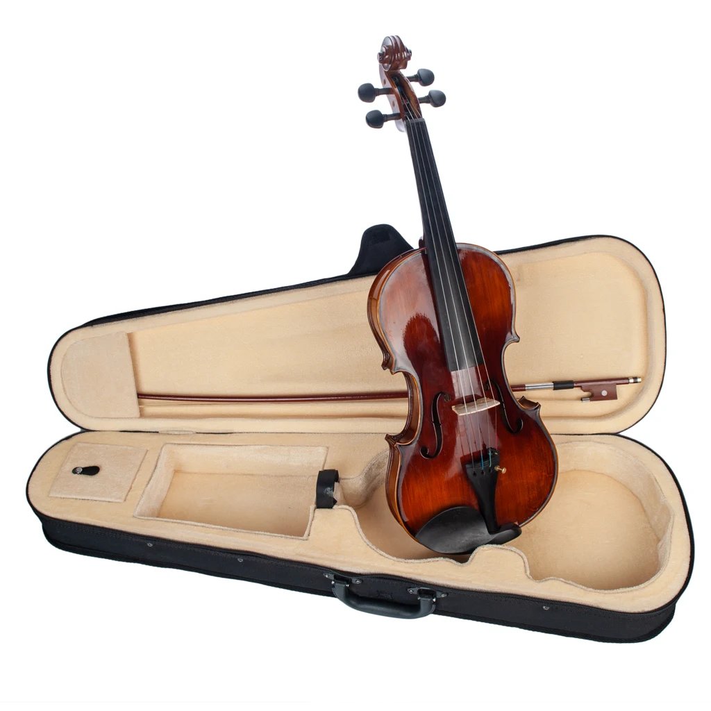 Naomi Acoustic Violin 4/4 Full Size High Gloss Finishing Solidwood ...