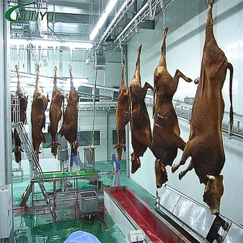 abattoir slaughter skinning