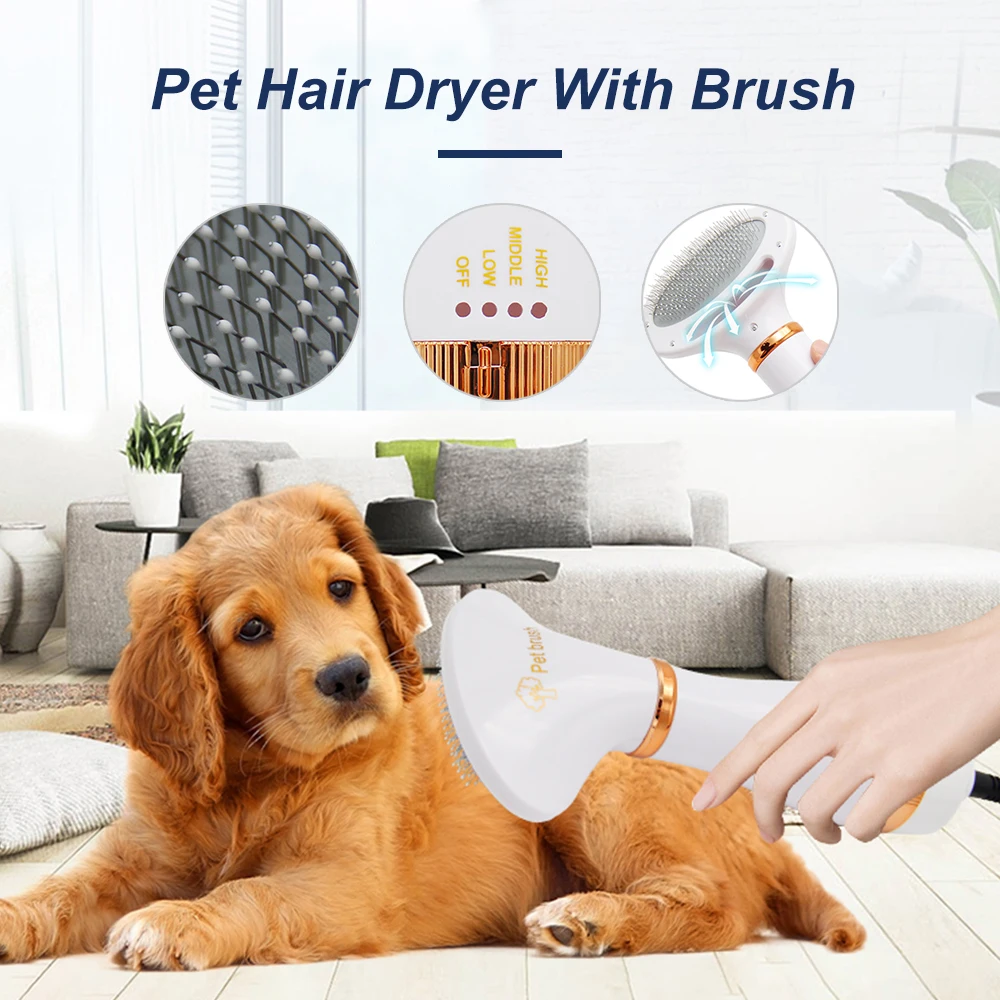 

2 In 1 Portable Dog Dryer Dog Hair Dryer And Comb Brush Pet Grooming Cat Hair Comb Dog Fur Blower Low Noise, Green gold