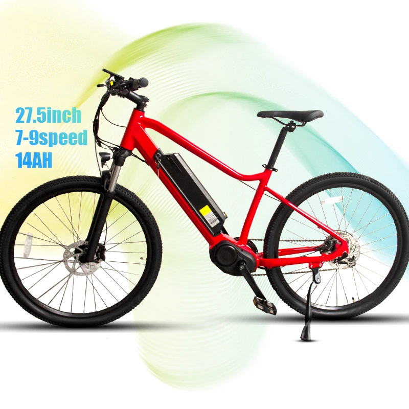 

Ip 65 E Bike Electric Bicycle 48V Mid Drive With 48V10ah Battery