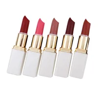 

Good Quality Mineral Pigment Cream Lipstick 5 Colors with Low MOQ in Stock
