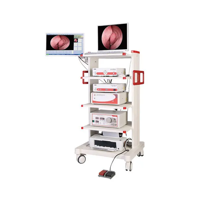 Optical Rigid Endoscope Ent Medical Endoscope Camera System With 2.7mm