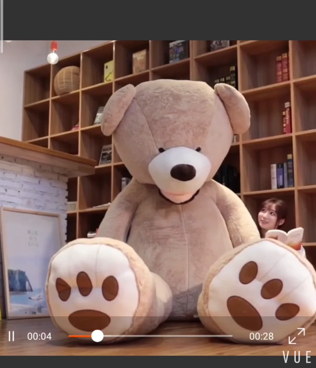 buy big size teddy bear online