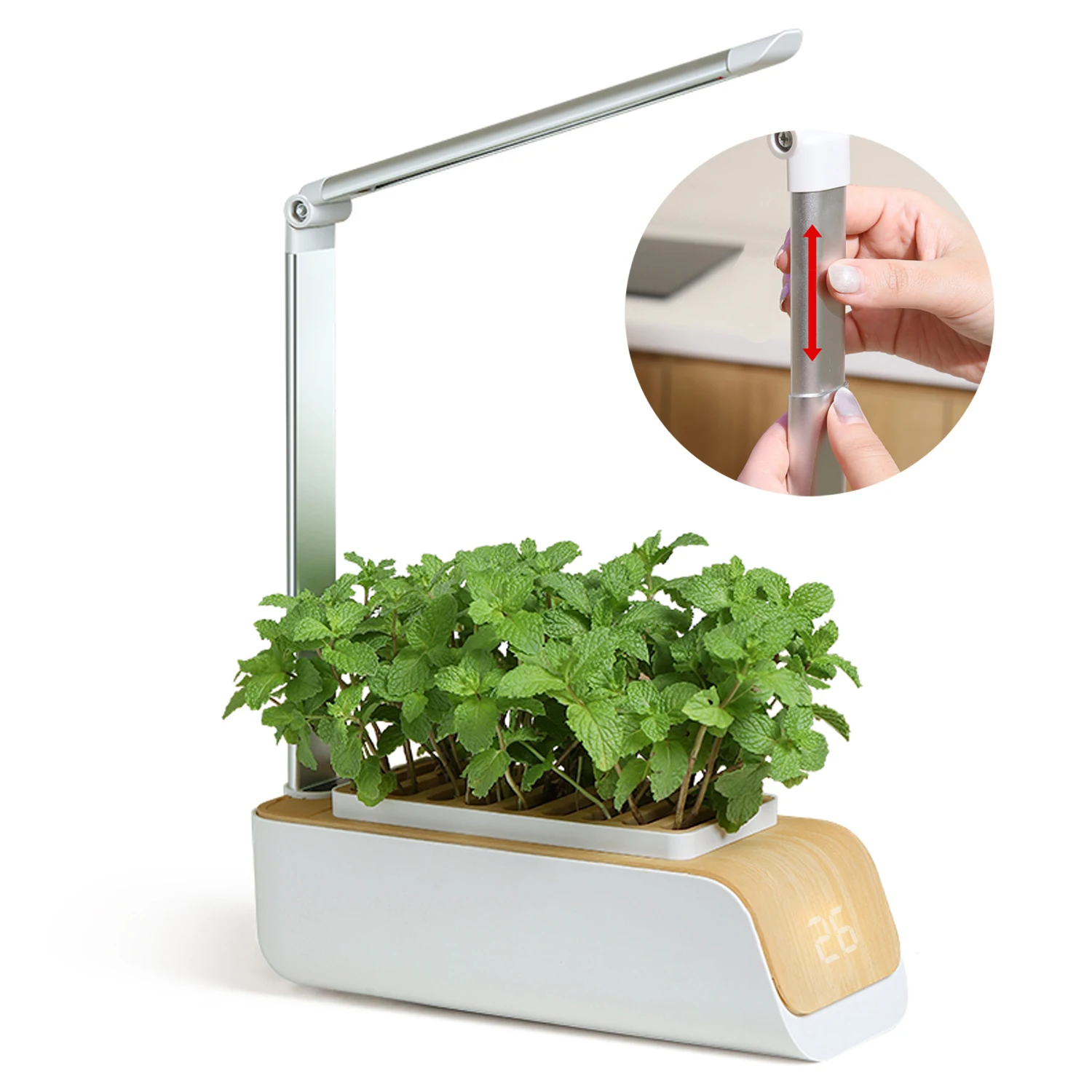 

Automatic Timer Smart Soil Sponge Vermiculite Various Plants indoor LED grow light indoor decoration Hydroponic Kitchen Garden