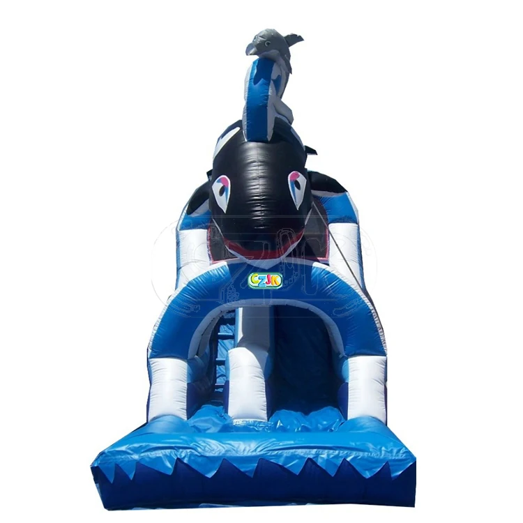 inflatable-slide-whale (3).jpg