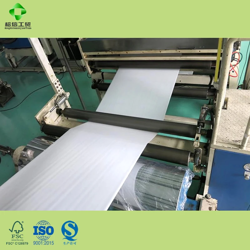 
Meat Packaging Paper In Jumbo Roll NOTE Coating Paper Biodegradable Wholesale 