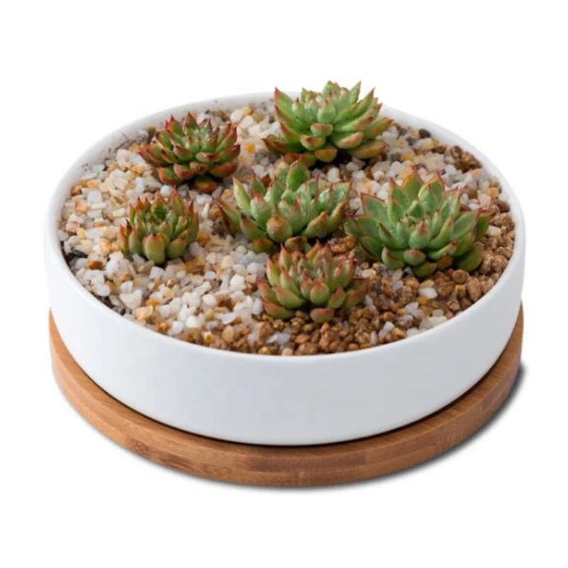 

Ceramic Simple Modern Round Creative High Quality Garden Pots Healthy Eco-Friendly Personality Solid Color Planters, White
