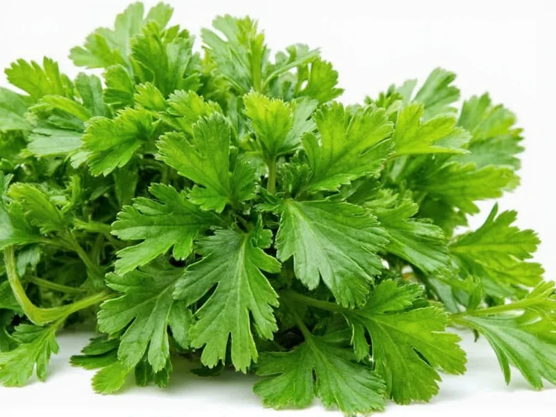 Best Parsley Substitutes: Practical Herb Alternatives