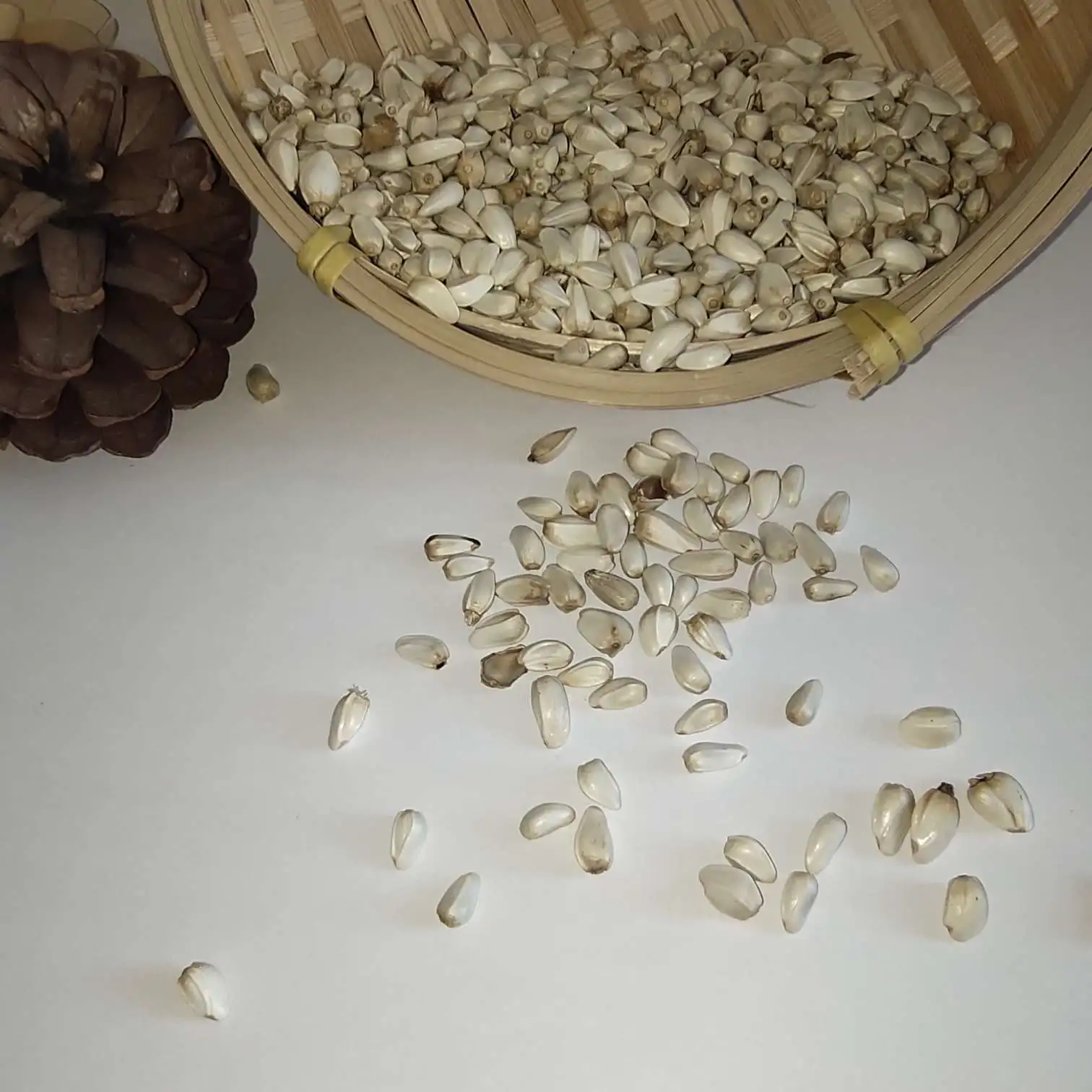 BULK SAFFLOWER SEEDS FOR  ANIMAL FEEDING