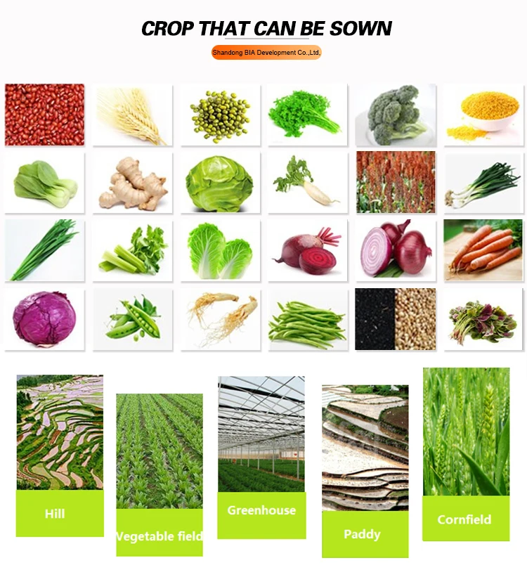 manual vegetable seeder4.jpg