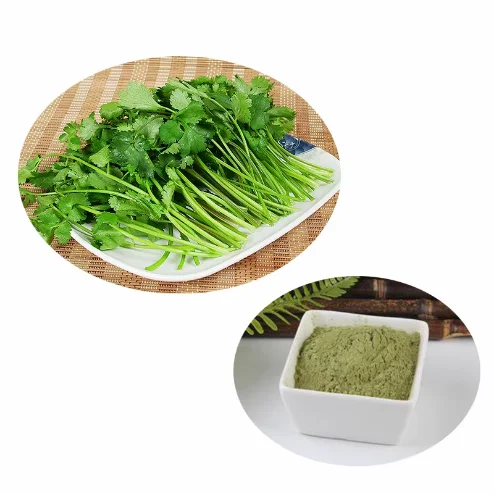 Coriander Powder - Wholesale Bulk & Private Label Hacfd15fa3dee4070819d8b4ad3f9ab58J